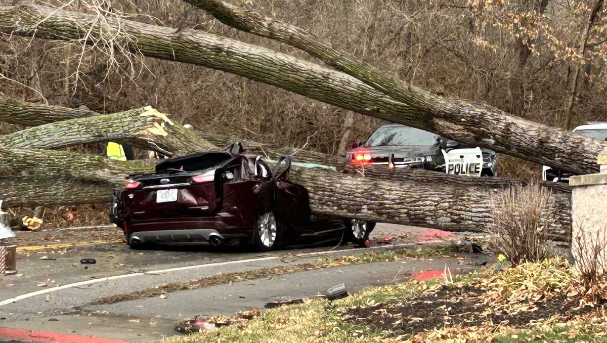 Blue Springs: Massive tree falls on occupied vehicle during storm