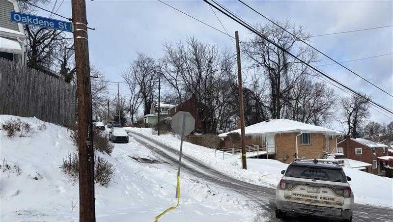 Police: Homeowner calls 911 reports break-in, fatal stabbing in Pittsburgh