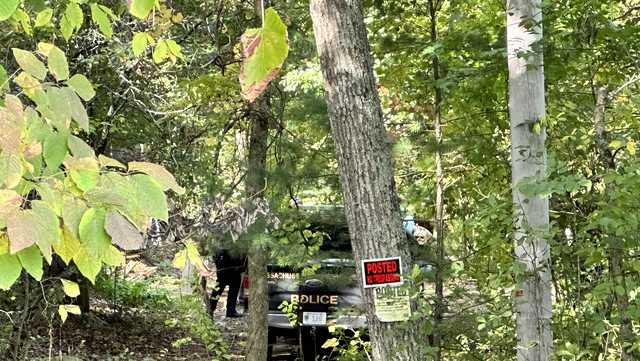 MassWildlife: Middleton resident shoots, kills bear attacking livestock - Vimarsana News