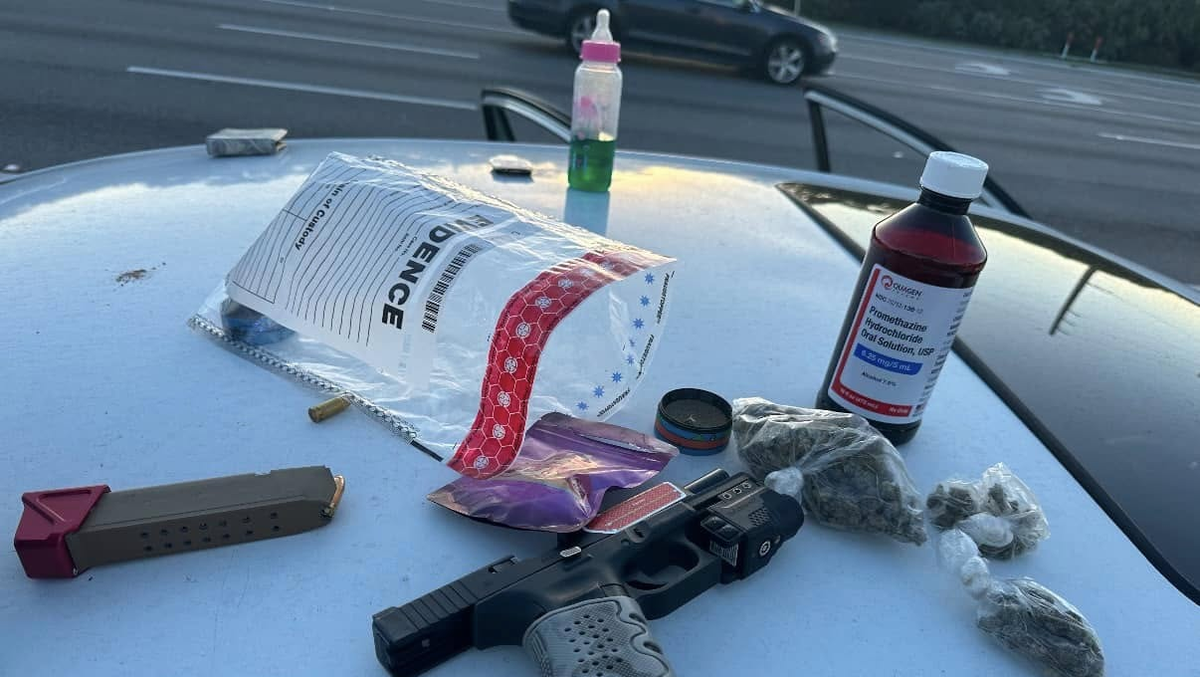 Traffic stop leads to arrest of 2 gang members in Florida