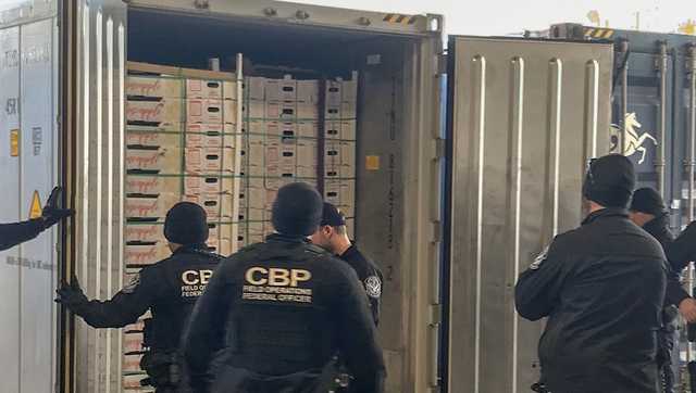 Border Patrol: Thousands of Fake Shake Weights Seized in Savannah
