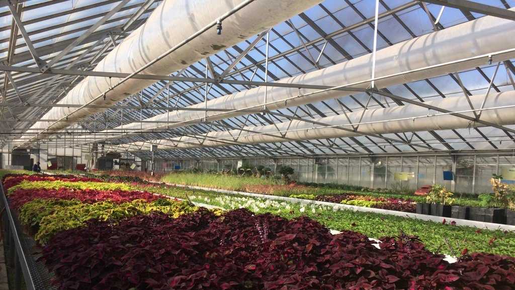 Omaha’s oldest greenhouse at historic Park saves city money