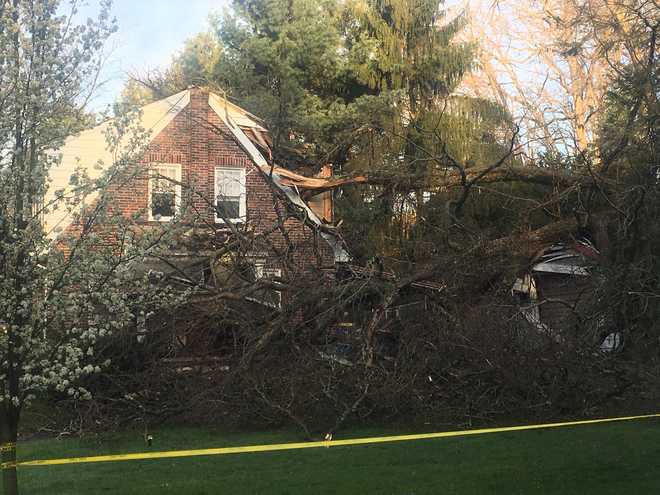Residents hospitalized after tree falls on home