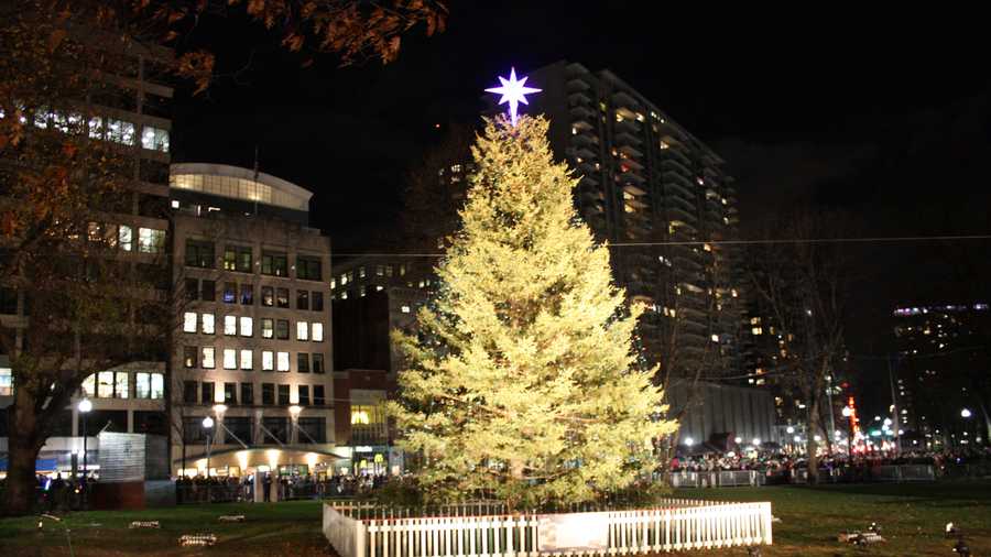 From Nova Scotia to Boston Our Christmas Tree's Journey