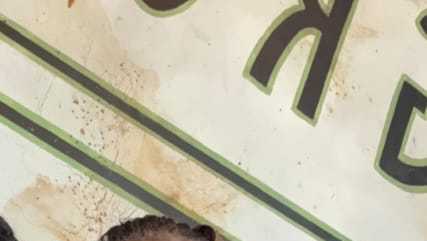 West Palm Beach authorities search for missing 78-year-old woman