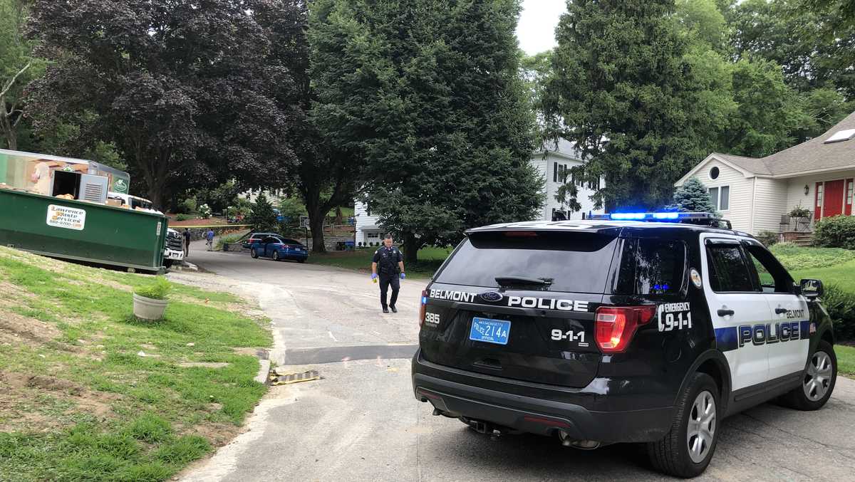 Woman stabbed in Belmont; suspect arrested after police chase