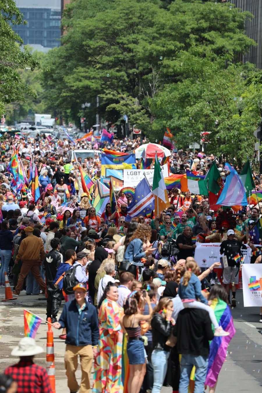 Photos Boston's Pride parade returns after 3year hiatus