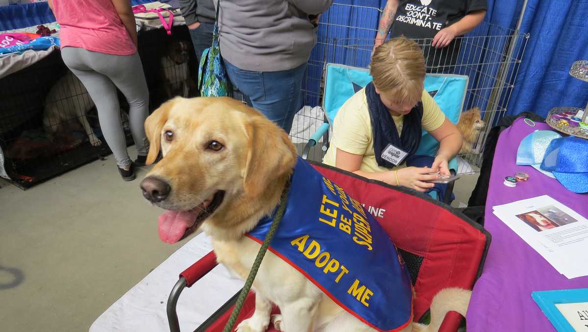 GALLERY Meet the 'Good Boys' of this weekend's Great Iowa Pet Expo