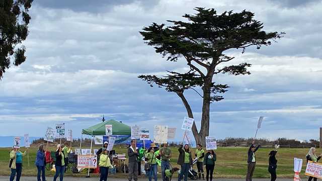 State scientists demanding pay equity strike at Window on the Bay - Vimarsana News