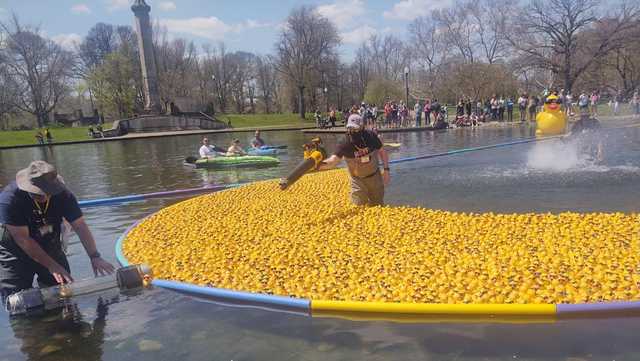 First ever Steel City Duck Derby held in Pittsburgh's Northside - Vimarsana News