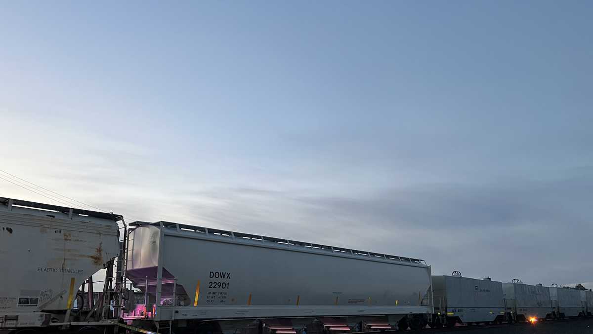 Pedestrian dies after being hit by train in Sacramento