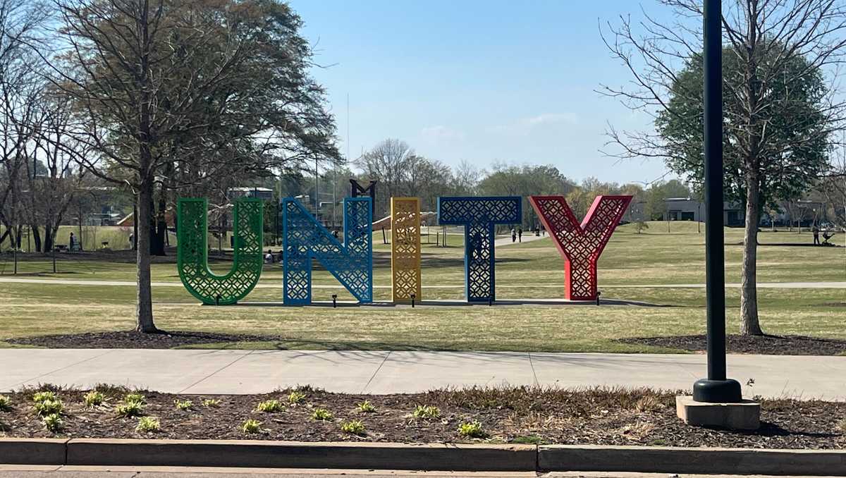 Teens charged in Unity Park assault remain detained - WYFF