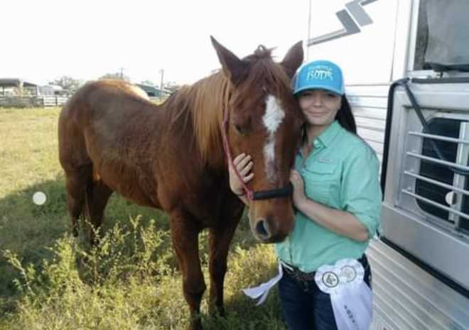 stolen horse okeechobee county stolen horse okeechobee county