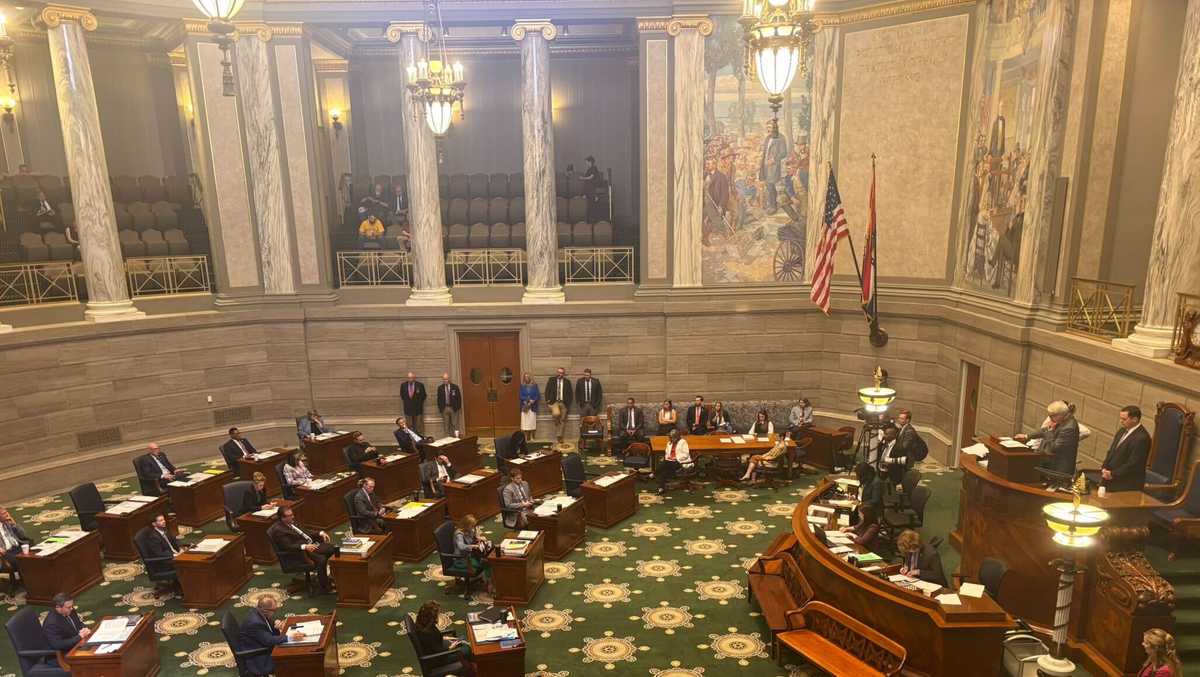 Missouri Senate moves forward on lawsuit reform targeting ‘sue and settle’ lawsuits