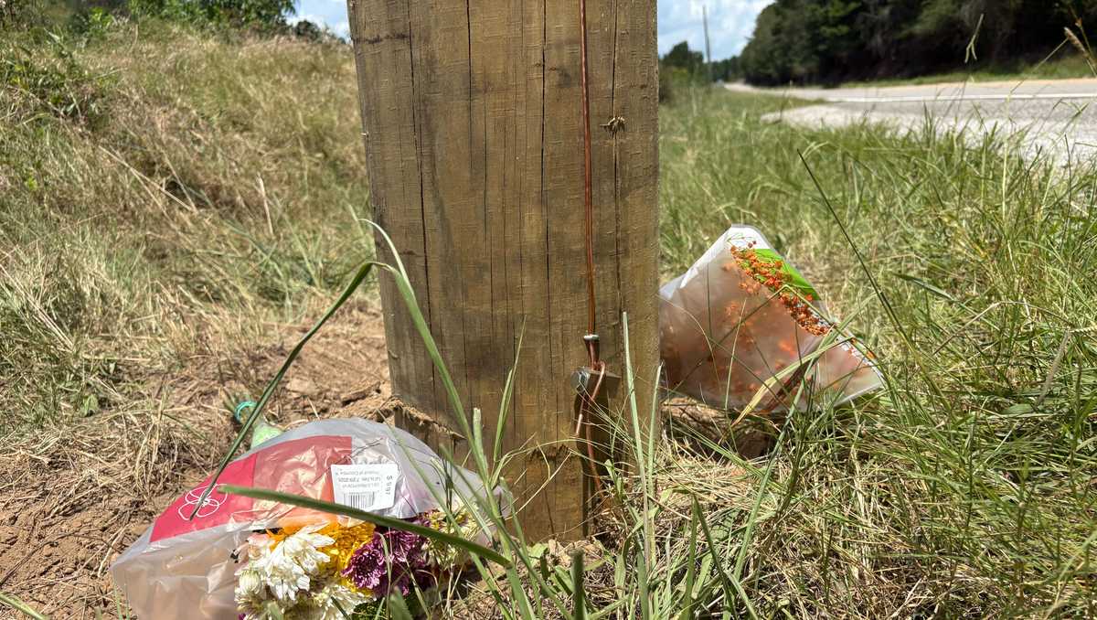2 teens killed, 6 others injured in Alabama crash