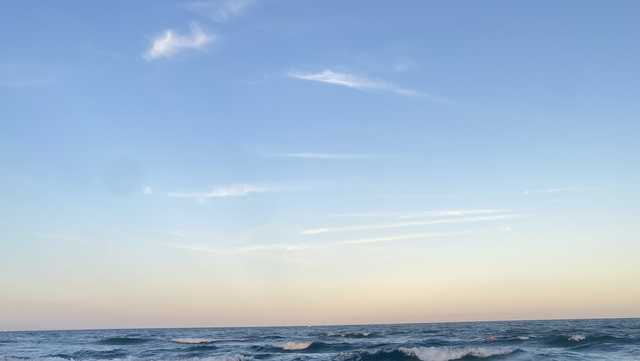 Florida events this weekend - Vimarsana News