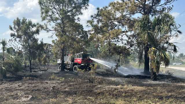 Lithium battery sparks brush fire in Lehigh Acres - Vimarsana News
