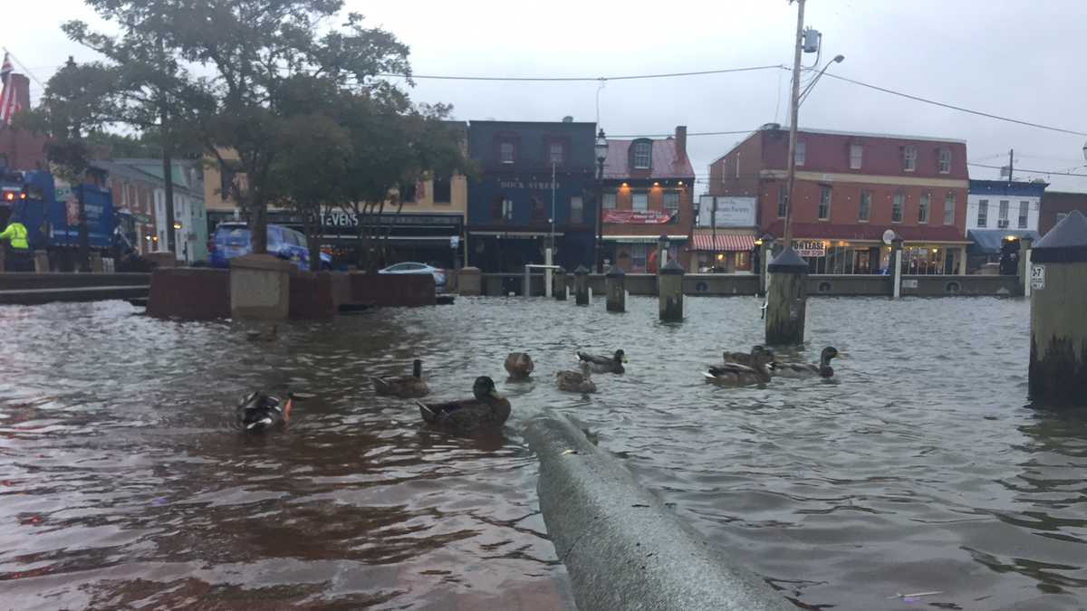 Photos: Flooding in Annapolis