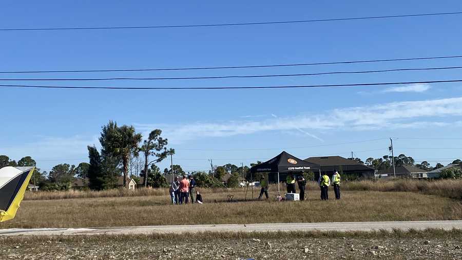 Small plane makes emergency landing in NE Cape Coral.
