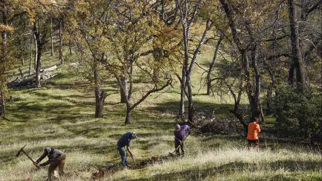 Monterey County condor and other wildlife habitat repaired - Vimarsana News