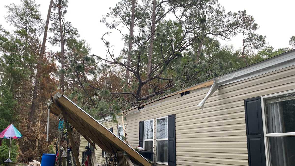 Louisiana family rescued from home in tree damage