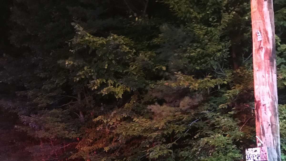 Man seriously injured in Naples crash