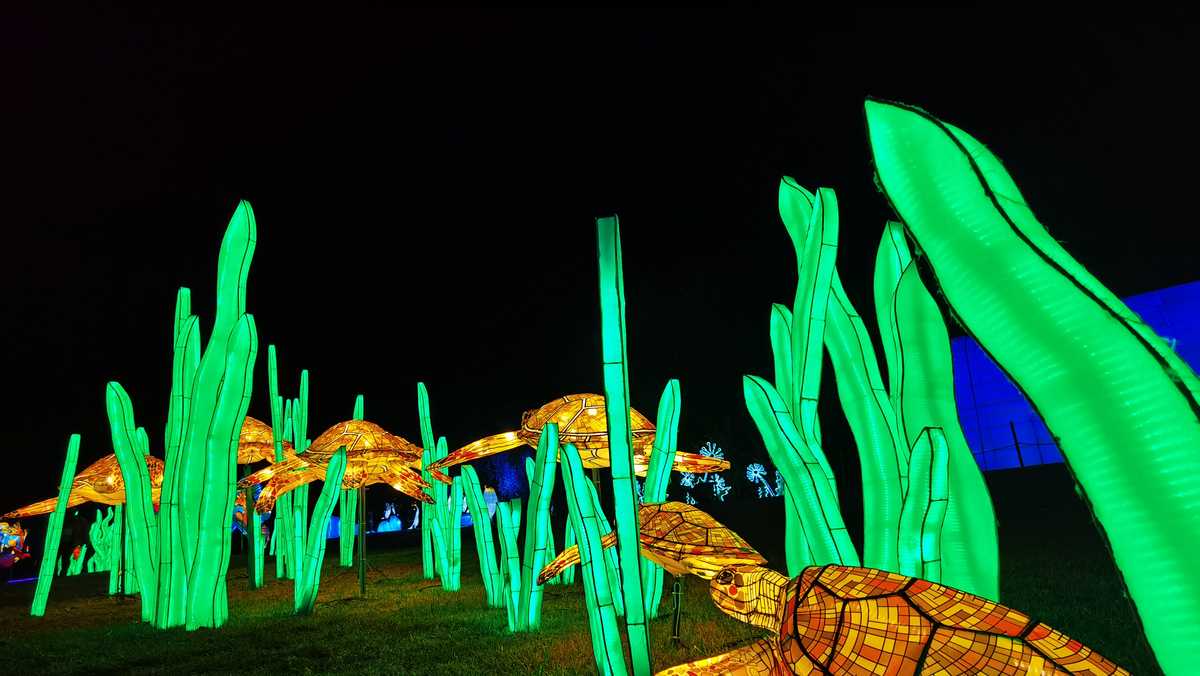 Massive lantern festival 'Wild Lights' returning to Louisville Zoo with