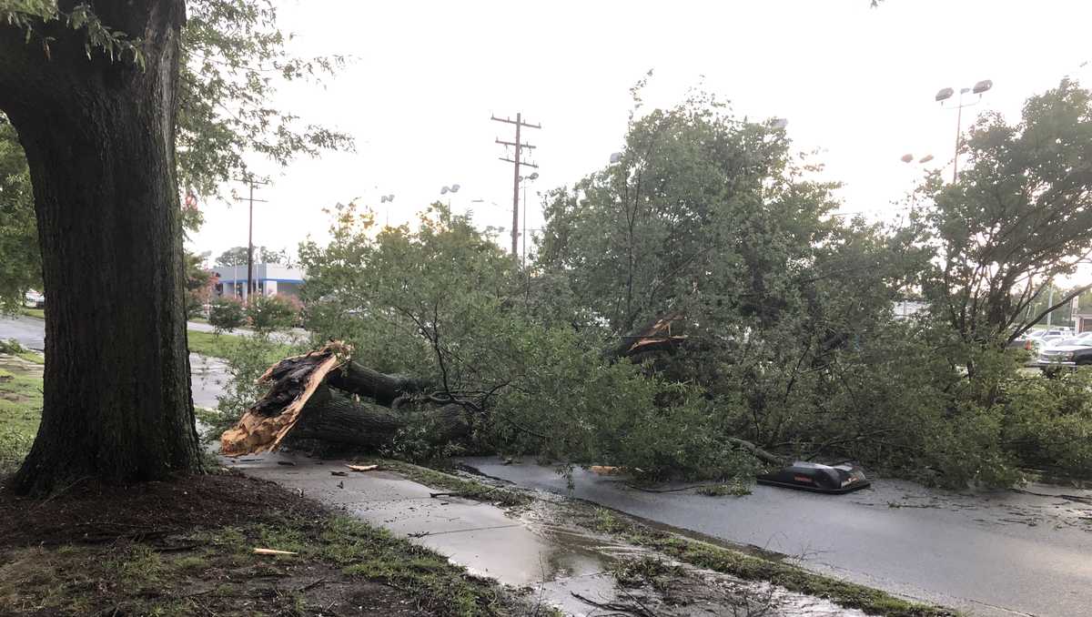 Severe weather topples trees, power lines across Piedmont Triad