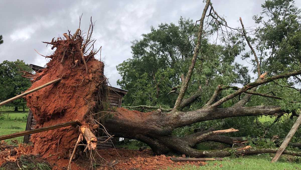 Weak tornado touched down in Abbeville County Wednesday, NWS confirms