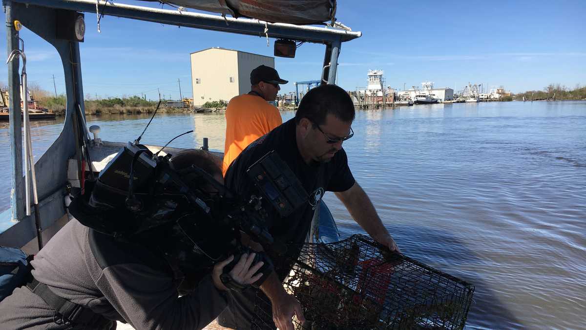 Crabbing in Louisiana ceases midnight Sunday