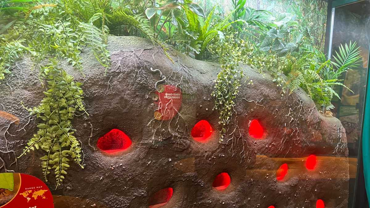 New Orleans Aquarium photos