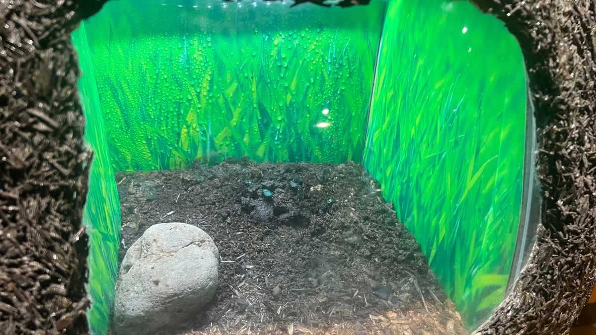 New Orleans Aquarium photos