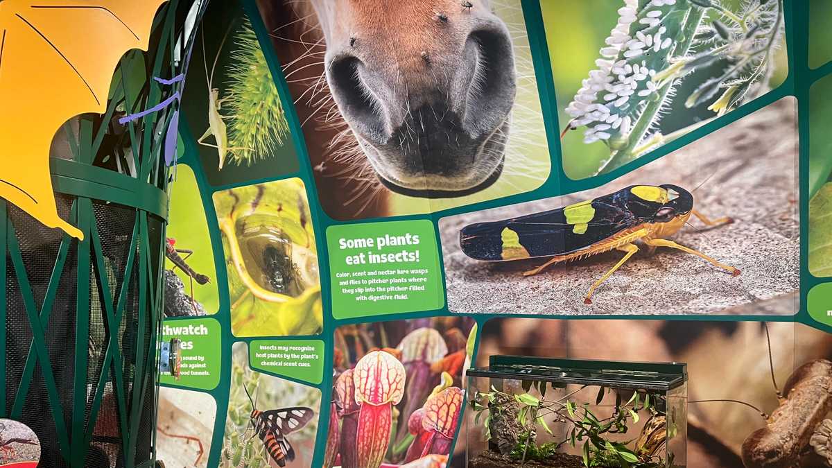 New Orleans Aquarium photos