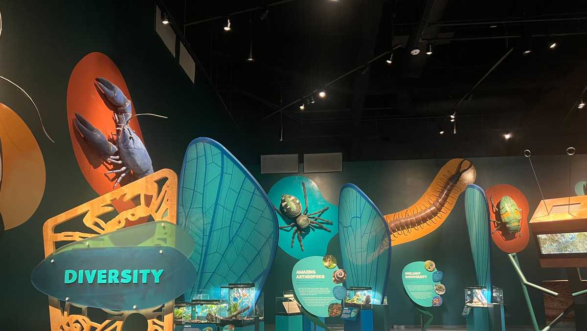 New Orleans Aquarium photos