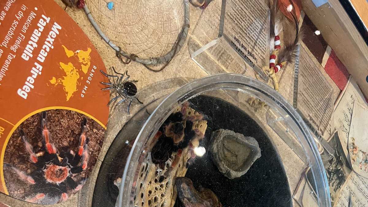 New Orleans Aquarium photos