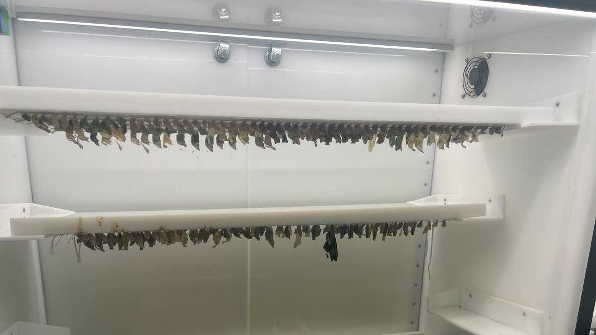 New Orleans Aquarium photos