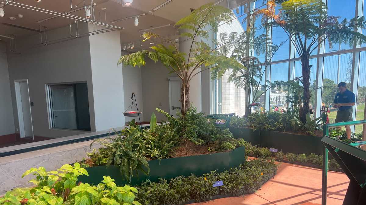 New Orleans Aquarium photos