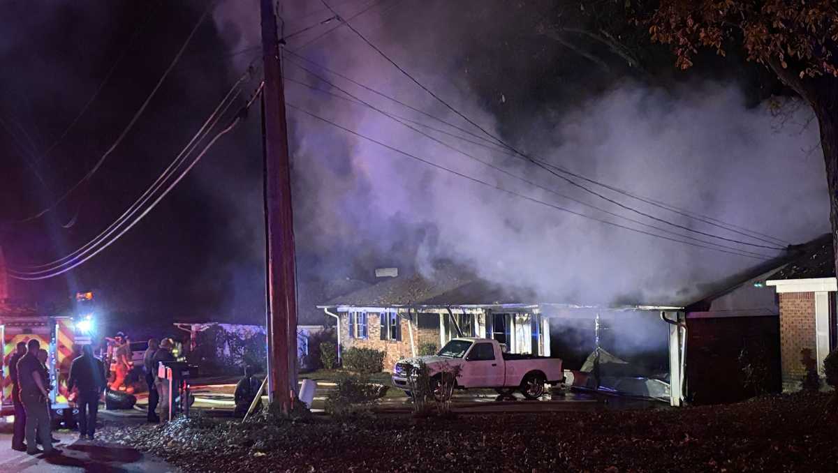 Dog dies in Clinton house fire, resident, other dogs escaped
