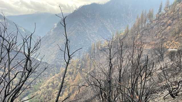 Placer County prepares for water quality challenges as Mosquito Fire burns - Vimarsana News