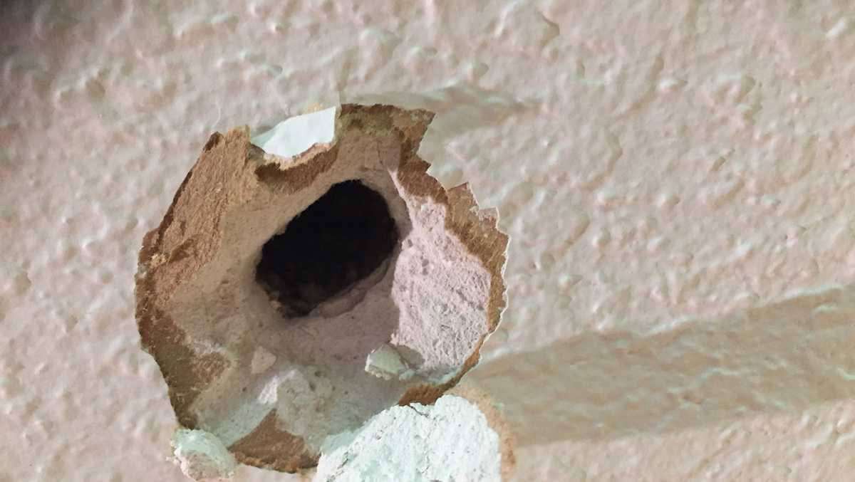 Stray Bullet Falls Through Roof Hits Stockton Woman 