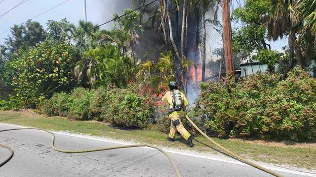 Landscaper cutting tree sparks Sanibel brush fire - Vimarsana News