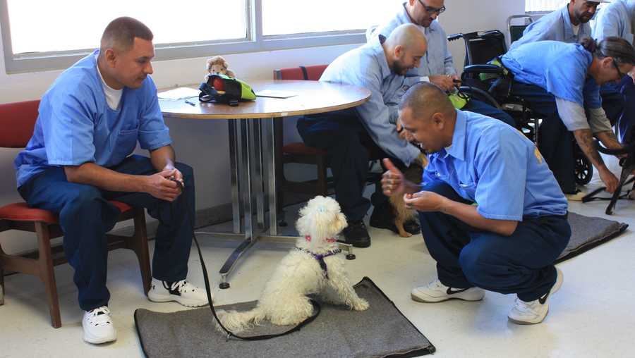 Gilberto Gonzalez gives his deaf shelter pup the thumbs upac
