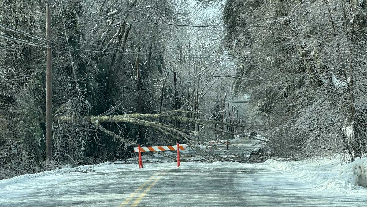 Maine roads blocked by downed trees, powerlines after storm