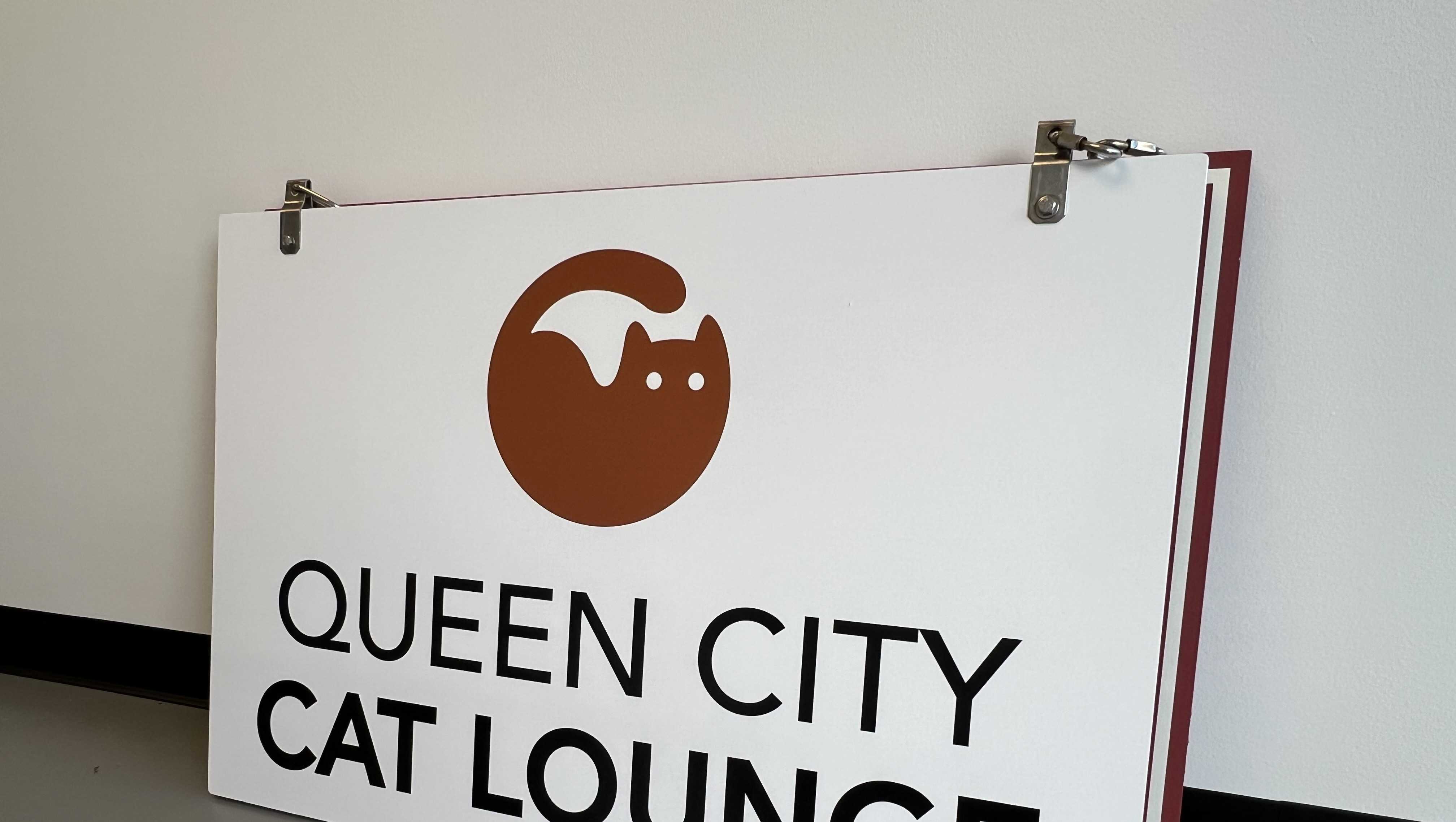 New 'cat lounge' to open this summer in Burlington - Vimarsana News