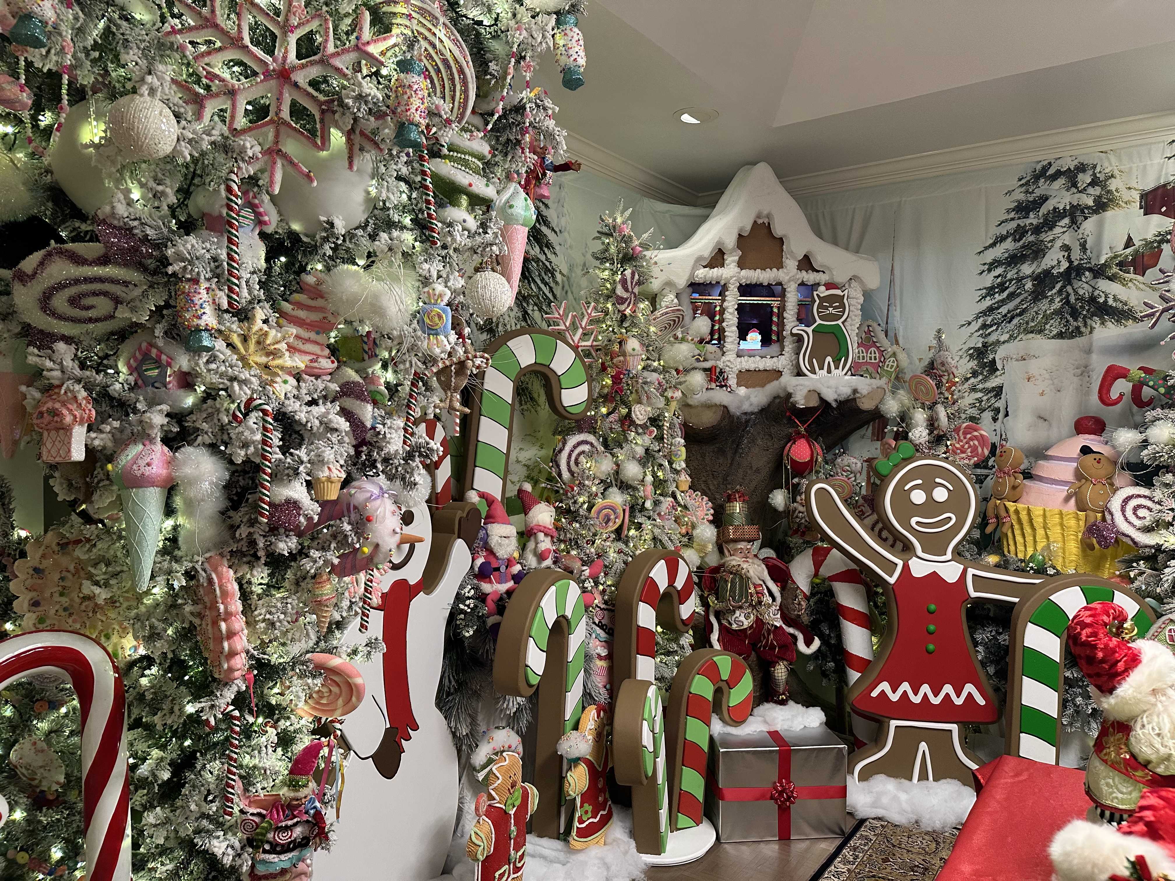 wxii12.com - Erin Burnett - Step inside one Florida man's home, bringing Christmas magic to life with artificial intelligence