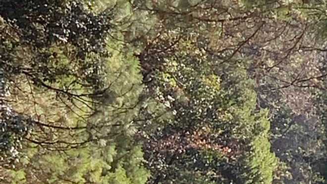 Shooting suspect arrested after hourslong standoff in Amador County