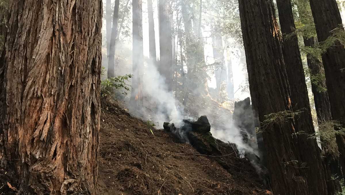 Update Rincon Fire