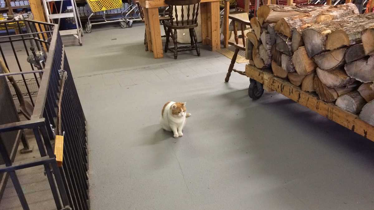 PHOTOS Made in Maine ice fishing traps