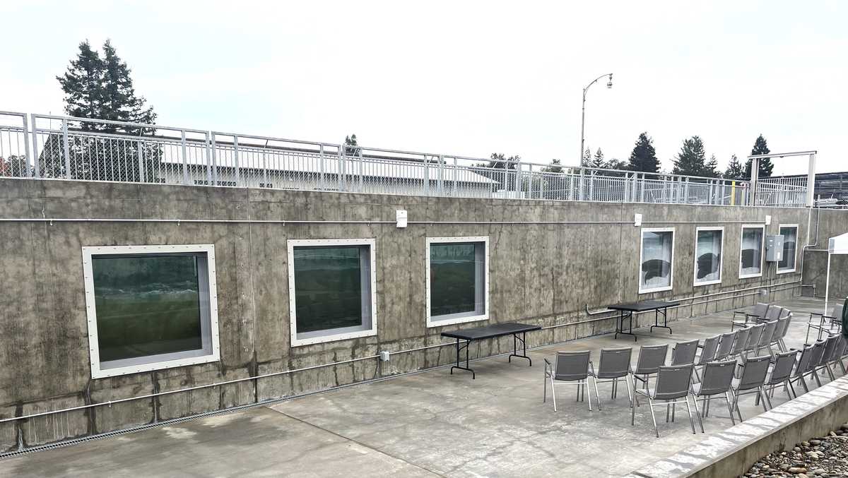 New fish ladder fall run chinook salmon at Nimbus Hatchery