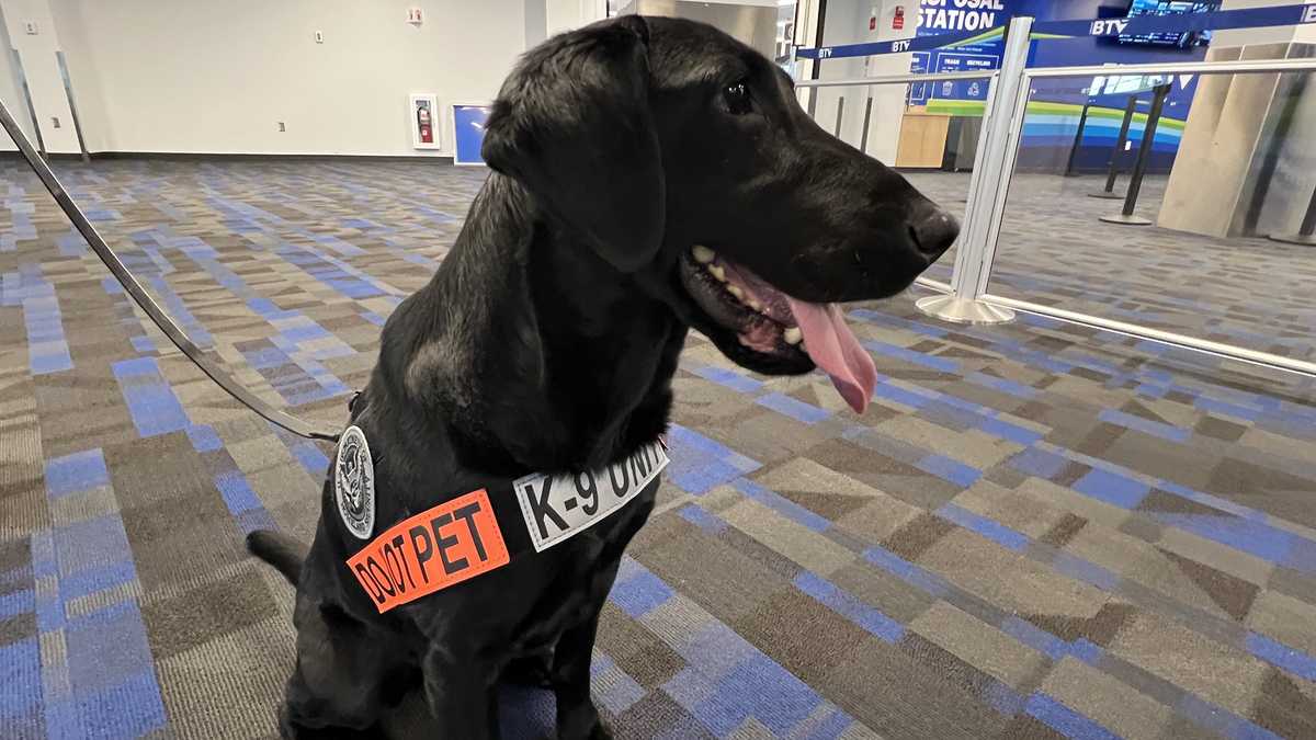 Meet a K-9 helping with Super Bowl security